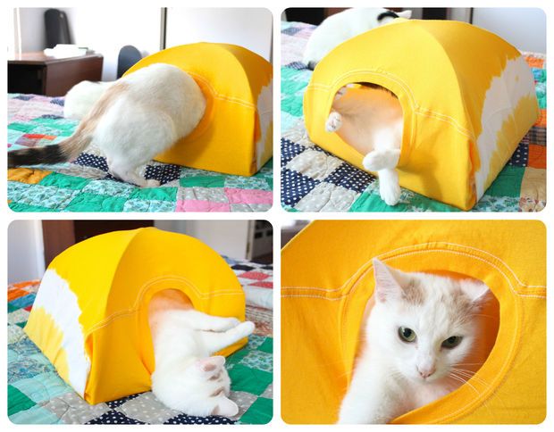 Comment faire une tente pour chat en quelques étapes