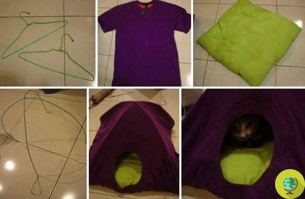 How to make a cat tent in just a few steps