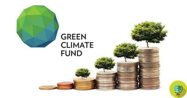 Green Fund: un fondo verde para ayudar a los estados 
