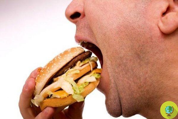 Comida chatarra: la comida chatarra aumenta el riesgo de depresión