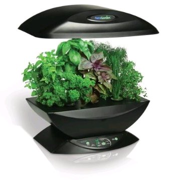 Solutions to create mini-home gardens