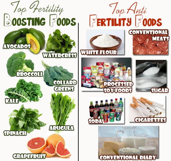 10 alimentos e dicas para aumentar a fertilidade