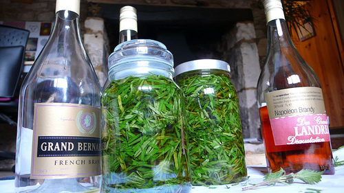 How and why to make herbal tincture