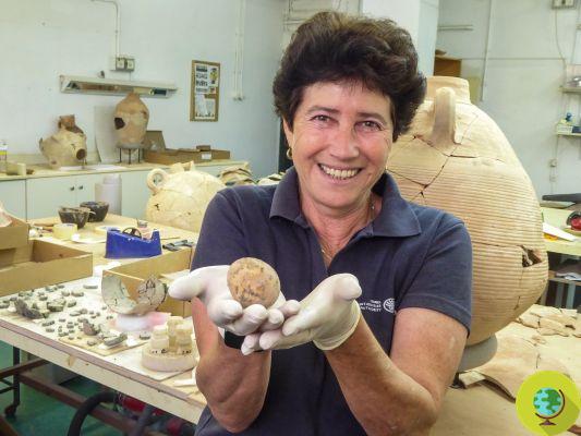 Arqueólogos encontraram um ovo de galinha de 1.000 anos (e ainda intacto!)