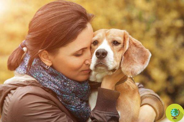 Les chiens savent ce que nous ressentons, l'étude prouve ce que nous savions déjà