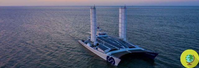 The largest solar powered boat in the world en route to Cancun