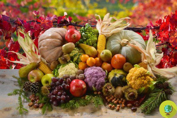 Aqui estão as frutas e legumes para colocar no carrinho de compras em dezembro