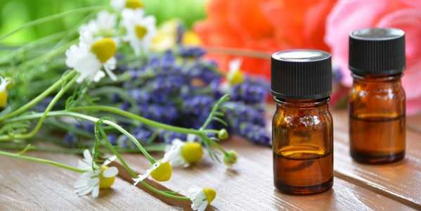 Essential oils: why are they so effective?