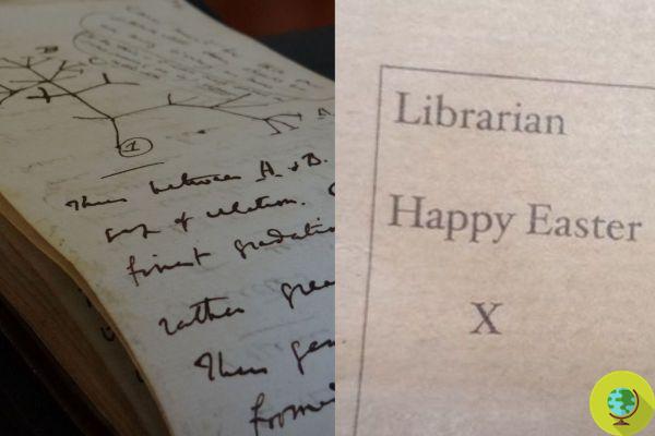 Devolvieron los dos cuadernos de Darwin desaparecidos en 2001 con muchas 