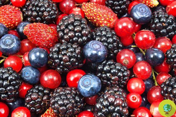 A diet rich in tea, apples and berries lowers blood pressure - all thanks to the flavanols