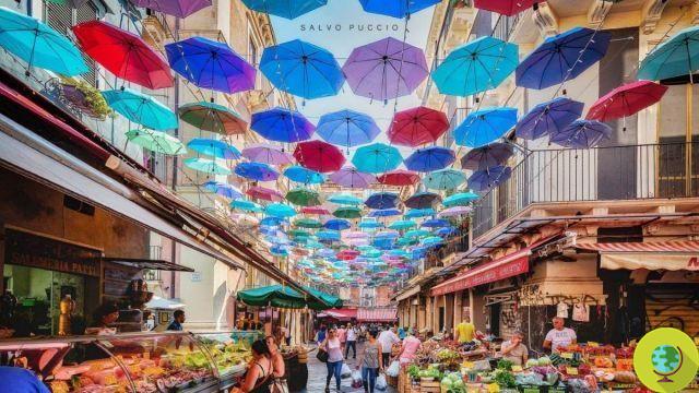 Um céu de guarda-chuvas coloridos encanta a histórica Pescheria di Catania