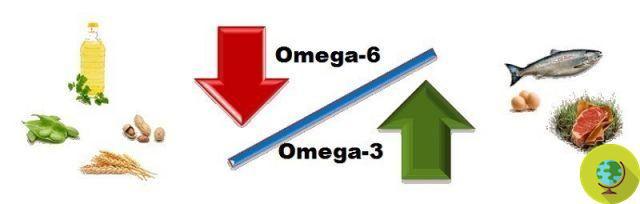 Omega 3 y Omega 6: ácidos grasos en la base de la inteligencia humana