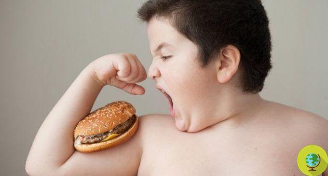 Firstborn children: they are more at risk of being overweight and its consequences