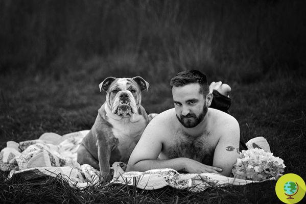 The irreverent and hilarious calendar of a shelter to help abandoned bulldogs find a home