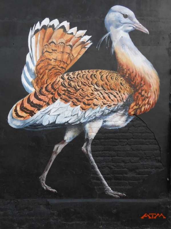 Arte callejero: grafitis en cajeros automáticos en honor a aves en peligro de extinción en Londres