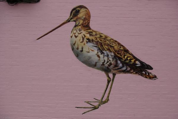 Street Art: Graffiti ATM em homenagem a aves ameaçadas de extinção em Londres