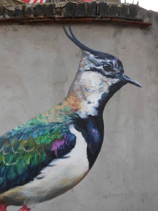 Street Art: ATM graffiti in honor of endangered birds in London