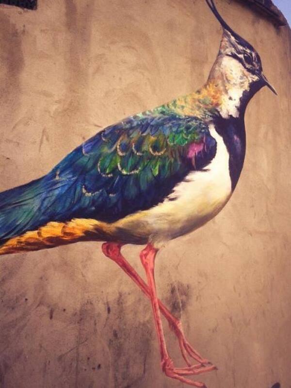Street Art : graffiti ATM en l'honneur des oiseaux en voie de disparition à Londres