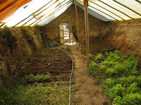Walipini: the self-produced underground greenhouse with 200 euros to cultivate the garden all year round
