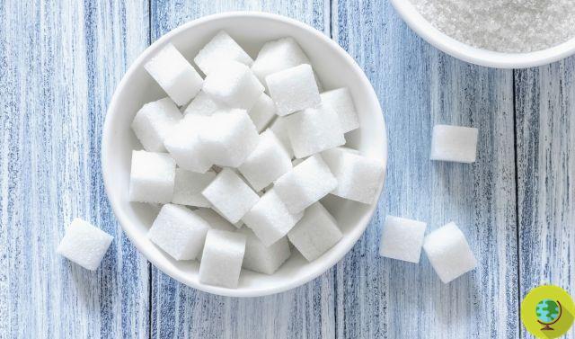 Açúcar: comida que mata o coração