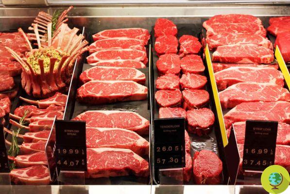 ¿Comes demasiada carne? Te arriesgas a un efecto secundario realmente peligroso para el revestimiento del intestino, según el estudio