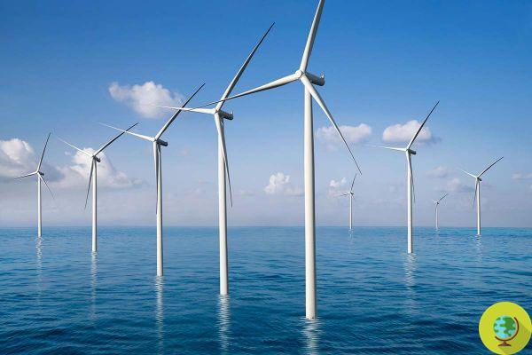 Wind turbines: do they really release microplastics and BPA that enter the food chain?