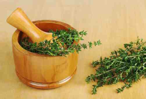Las 10 mejores hierbas aromáticas que no pueden faltar en tu cocina y las formas adecuadas de combinarlas