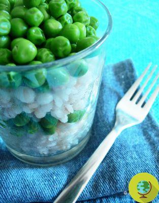 Fresh peas: 10 recipes to enjoy them at their best