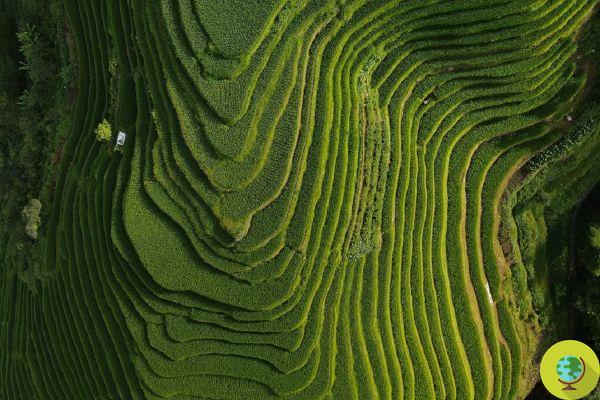A bela paisagem chinesa vista de um drone nas imagens espetaculares deste fotógrafo