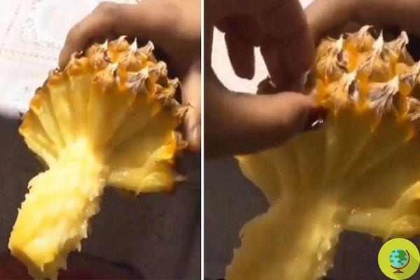 The new way of peeling pineapple that will make you want to try it right away (#pineapplehack)