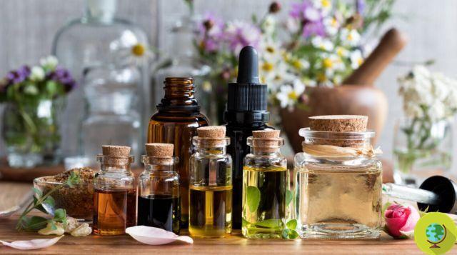 Essential oils in the kitchen: how to choose them, dose them and use them in your recipes