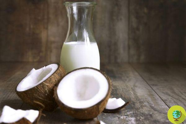 Cosméticos naturais faça você mesmo: 10 receitas de leite de coco
