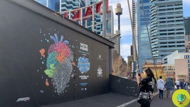 Arte callejero que salva corales: murales en las principales ciudades para solicitar la ciudadanía de arrecife
