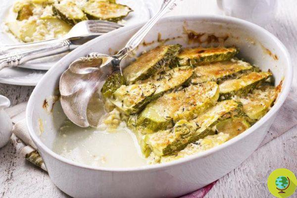 Second courses with zucchini: the 10 best recipes