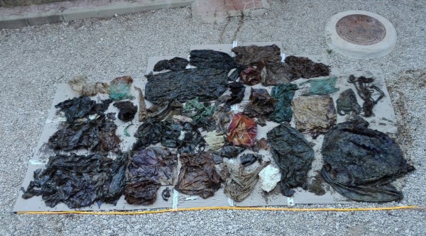 Cachalote morto pelo nosso plástico: 30 kg de lixo no estômago