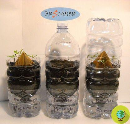 Cómo construir semilleros de riego automático con botellas de plástico
