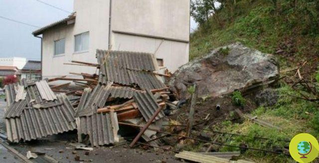 Terremoto de Japón: Sharp instala 250 plantas solares en las zonas afectadas por el terremoto
