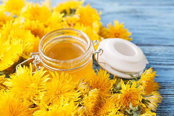 Dandelion honey: how to prepare the vegan alternative to honey at home