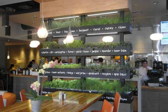 Former McDonalds executive opens healthy fast food chain