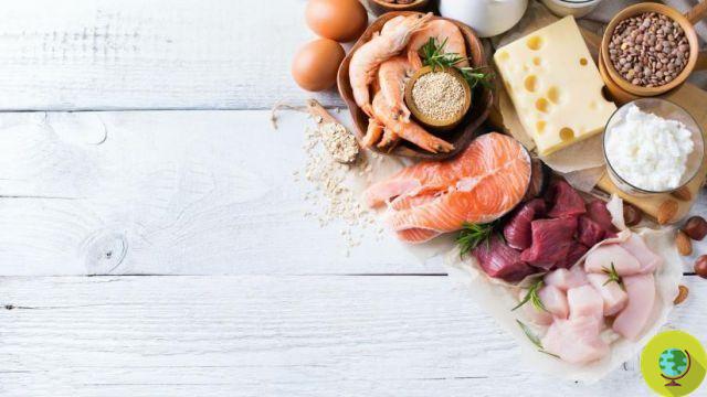 High-protein diet: the risks and contraindications