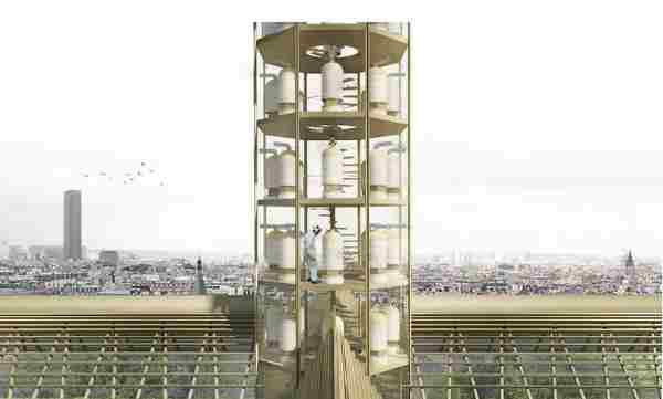 Incendio de Notre-Dame: presentó el proyecto verde para transformar el techo en un gran invernadero
