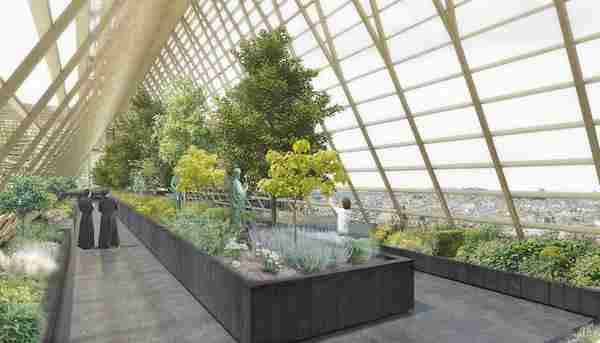 Incendio de Notre-Dame: presentó el proyecto verde para transformar el techo en un gran invernadero