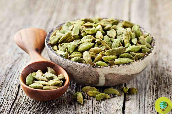 Cardamom: 10 Benefits That Will Make You Use This Indian Spice More
