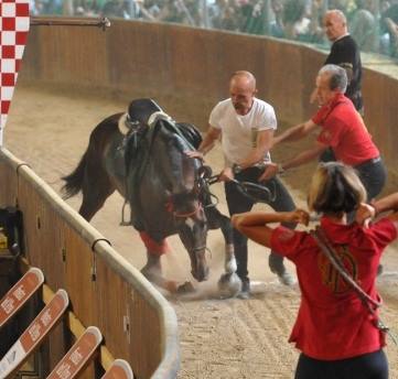 Giostra dell'Orso : 2 chevaux tués au palio de Pistoia. Mailbombing pour en dire assez (VIDEO - images fortes)