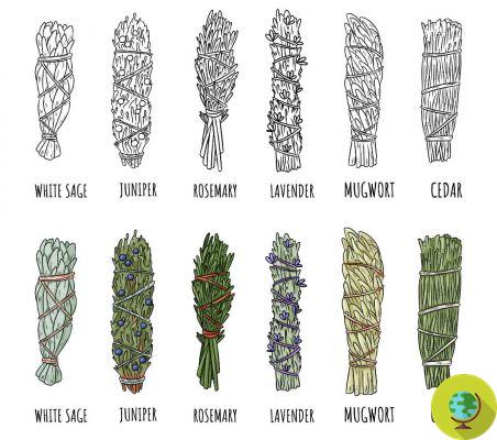 Cascão: o que é e como preparar o ancestral molho de ervas secas que purificam a casa