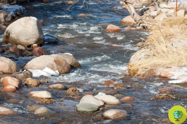 L'éternelle bataille pour empêcher Nestlé de drainer les rivières américaines pour vendre de l'eau en bouteilles plastiques