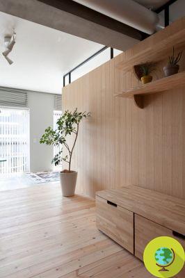 Tiny House: o apartamento minimalista com uma única parede em forma de L