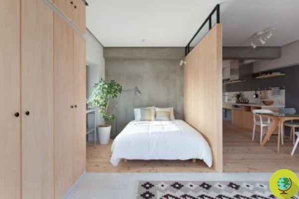 Tiny House : l'appartement minimal avec un seul mur en forme de L