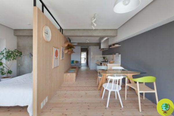 Tiny House: the minimal apartment with a single L-shaped wall