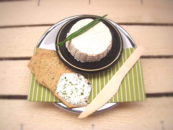 Veg cheeses: 10 recipes to prepare them at home